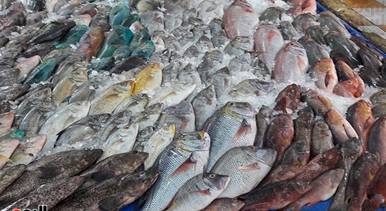 Fish Mix