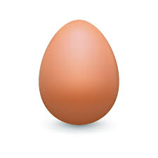Chicken Egg/DZN